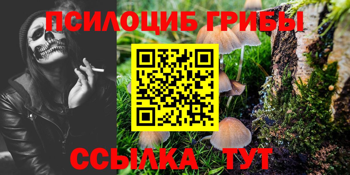 Псилоцибиновые грибы MAGIC MUSHROOMS Кирово-Чепецк